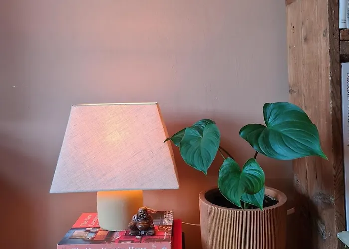 Spacious Eclectic Near Sea & Amsterdam איימאודן