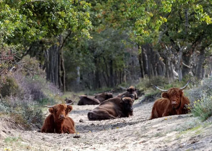 Appartement Spacious Eclectic Near Sea & Amsterdam